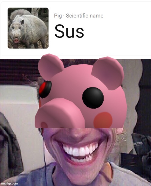 Kinda SUS | image tagged in when the imposter is sus | made w/ Imgflip meme maker