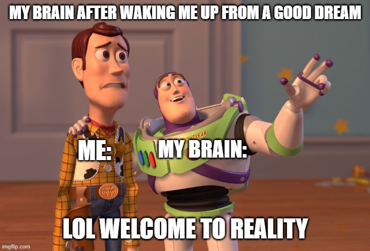 X, X Everywhere | MY BRAIN AFTER WAKING ME UP FROM A GOOD DREAM; ME:; MY BRAIN:; LOL WELCOME TO REALITY | image tagged in memes,x x everywhere | made w/ Imgflip meme maker