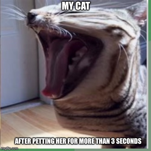 My cat is a sociopath | MY CAT; AFTER PETTING HER FOR MORE THAN 3 SECONDS | image tagged in cat | made w/ Imgflip meme maker