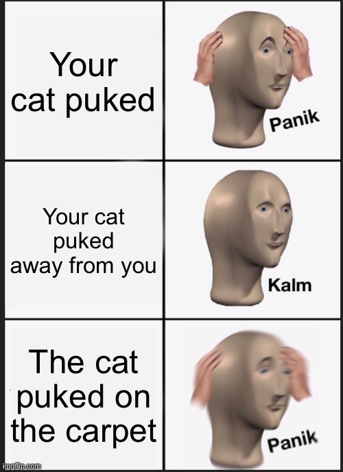 Life...am i wrong? | Your cat puked; Your cat puked away from you; The cat puked on the carpet | image tagged in memes,panik kalm panik | made w/ Imgflip meme maker