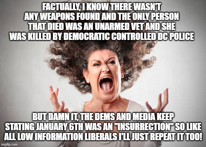 Selective Outrage much? | FACTUALLY, I KNOW THERE WASN'T ANY WEAPONS FOUND AND THE ONLY PERSON THAT DIED WAS AN UNARMED VET AND SHE WAS KILLED BY DEMOCRATIC CONTROLLED DC POLICE; BUT DAMN IT, THE DEMS AND MEDIA KEEP STATING JANUARY 6TH WAS AN "INSURRECTION" SO LIKE ALL LOW INFORMATION LIBERALS I'LL JUST REPEAT IT TOO! | image tagged in insurrection,january 6,liberals,democrats,hypocrisy,lies | made w/ Imgflip meme maker