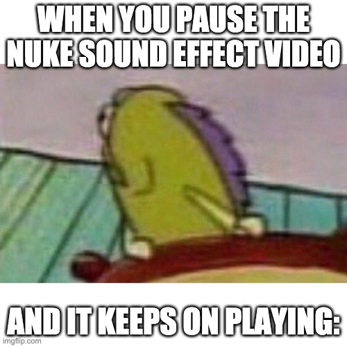 O H N O | WHEN YOU PAUSE THE NUKE SOUND EFFECT VIDEO; AND IT KEEPS ON PLAYING: | image tagged in fish looking back | made w/ Imgflip meme maker