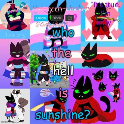 no really i'm so confused | who; the; hell; is; sunshine? | image tagged in the-goth-chicken's announcement template 23 | made w/ Imgflip meme maker
