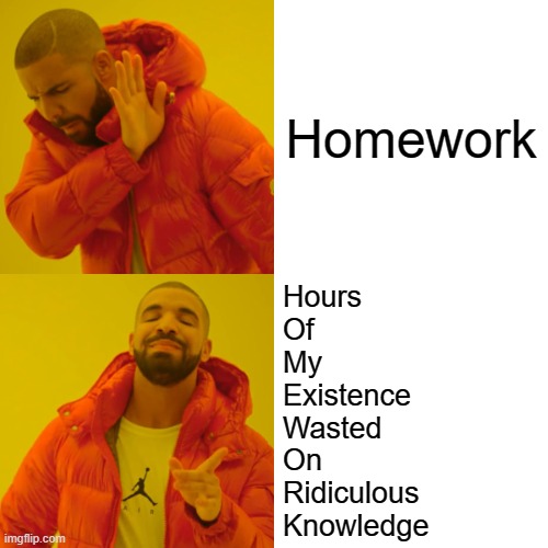 Drake Hotline Bling | Homework; Hours 
Of 
My 
Existence 
Wasted 
On 
Ridiculous 
Knowledge | image tagged in memes,drake hotline bling | made w/ Imgflip meme maker