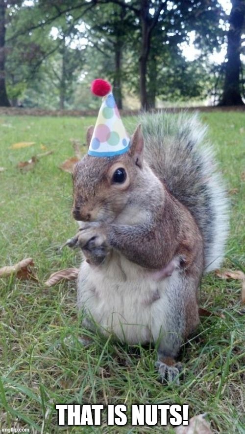 Super Birthday Squirrel Meme | THAT IS NUTS! | image tagged in memes,super birthday squirrel | made w/ Imgflip meme maker