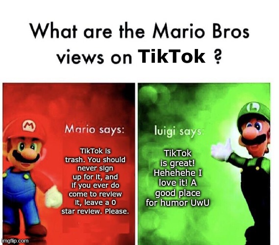 LUIGI WHY!! I'm sorry buddy, but I have to agree with Mario here. Please comment on this to so we can prove Luigi wrong! | TikTok; TikTok is great! Hehehehe I love it! A good place for humor UwU; TikTok is trash. You should never sign up for it, and if you ever do come to review it, leave a 0 star review. Please. | image tagged in proveluigiwrong,tiktokistrash,agreedwithmario | made w/ Imgflip meme maker