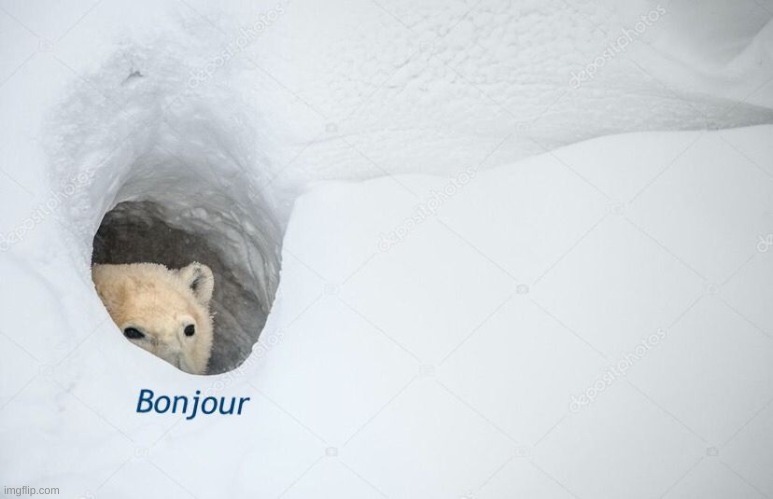 Bonjour | image tagged in bonjour | made w/ Imgflip meme maker