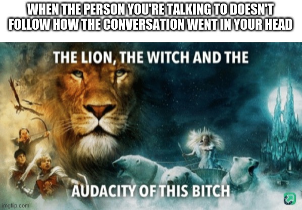The lion, the witch, and the audacity of this bitch | WHEN THE PERSON YOU'RE TALKING TO DOESN'T FOLLOW HOW THE CONVERSATION WENT IN YOUR HEAD | image tagged in the lion the witch and the audacity of this bitch | made w/ Imgflip meme maker