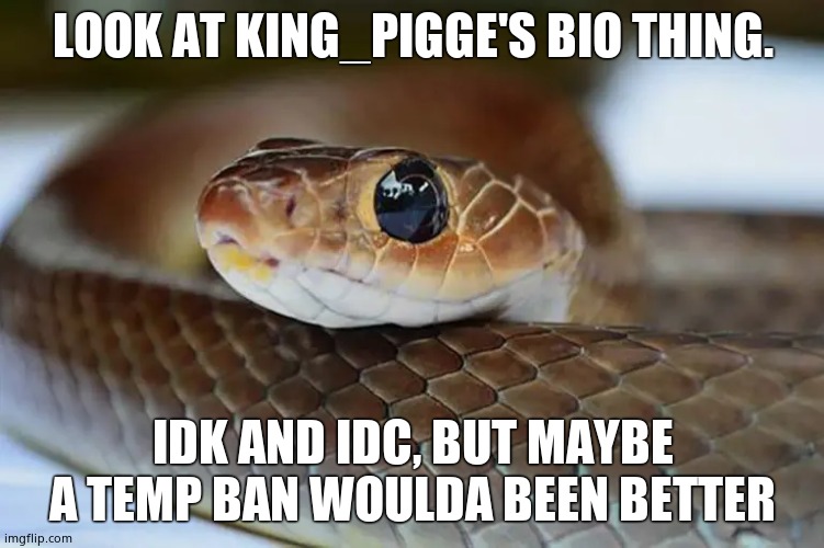 snek | LOOK AT KING_PIGGE'S BIO THING. IDK AND IDC, BUT MAYBE A TEMP BAN WOULDA BEEN BETTER | image tagged in snek | made w/ Imgflip meme maker