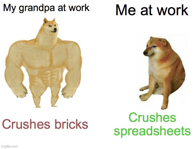 History Is a B*&ch | My grandpa at work; Me at work; Crushes bricks; Crushes spreadsheets | image tagged in memes,buff doge vs cheems,bricks,work,office,beta | made w/ Imgflip meme maker
