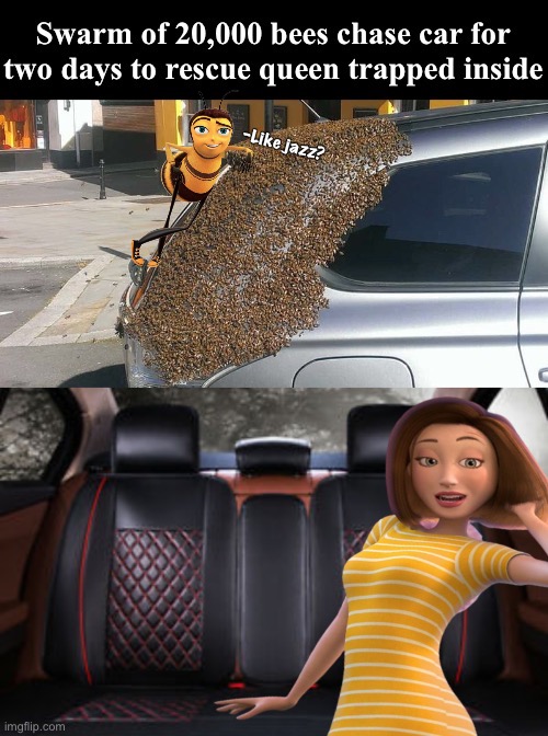 Like Jazz? Swarm of Bees Chase Car to Rescue Queen |  -Like jazz? | image tagged in swarm of bees chase car to rescue queen,memes,weird stuff,bees,ya like jazz,insects | made w/ Imgflip meme maker