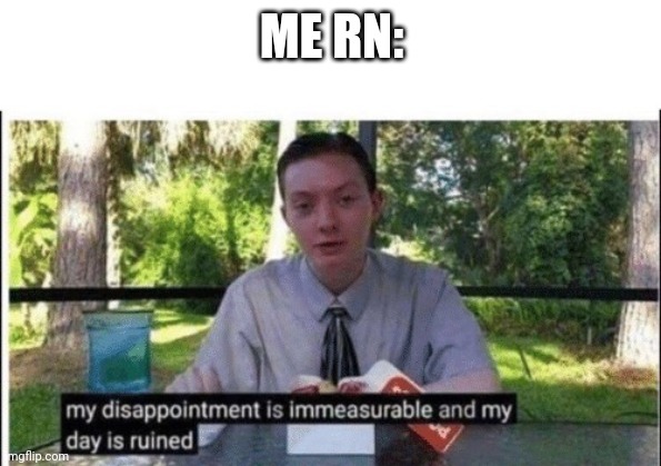 My dissapointment is immeasurable and my day is ruined | ME RN: | image tagged in my dissapointment is immeasurable and my day is ruined | made w/ Imgflip meme maker