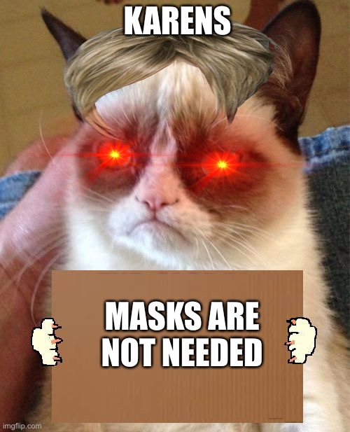 Loool | KARENS; MASKS ARE NOT NEEDED | image tagged in grumpy cat cardboard sign | made w/ Imgflip meme maker