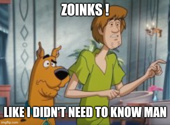 ZOINKS ! LIKE I DIDN'T NEED TO KNOW MAN | made w/ Imgflip meme maker
