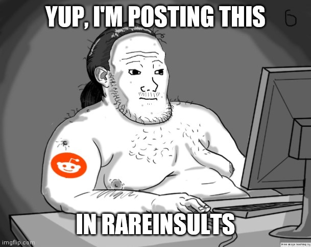 Average Redditor | YUP, I'M POSTING THIS IN RAREINSULTS | image tagged in average redditor | made w/ Imgflip meme maker