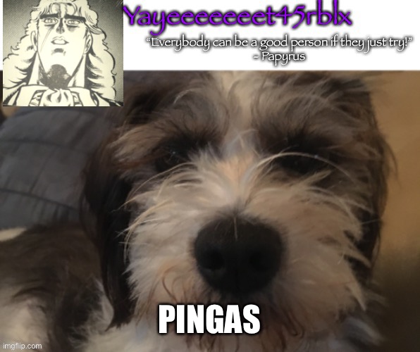 Me saying random things part 2 | PINGAS | image tagged in yayeeeeeeet45rblx announcement,part one was amogus | made w/ Imgflip meme maker