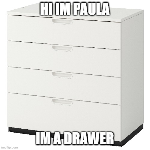 HI IM PAULA IM A DRAWER | made w/ Imgflip meme maker