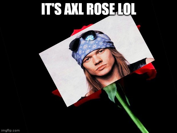 Axl Rose lol | image tagged in memes,axl rose,bad pun | made w/ Imgflip meme maker