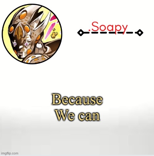 Soap ger temp | Because
We can | image tagged in soap ger temp | made w/ Imgflip meme maker