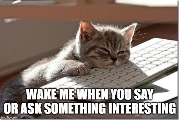 Bored Keyboard Cat | WAKE ME WHEN YOU SAY OR ASK SOMETHING INTERESTING | image tagged in bored keyboard cat | made w/ Imgflip meme maker