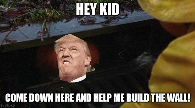 Trumpywise | HEY KID; COME DOWN HERE AND HELP ME BUILD THE WALL! | image tagged in pennywise | made w/ Imgflip meme maker
