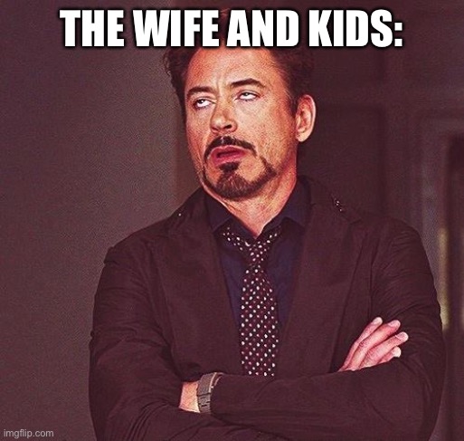 Robert Downey Jr Annoyed | THE WIFE AND KIDS: | image tagged in robert downey jr annoyed | made w/ Imgflip meme maker