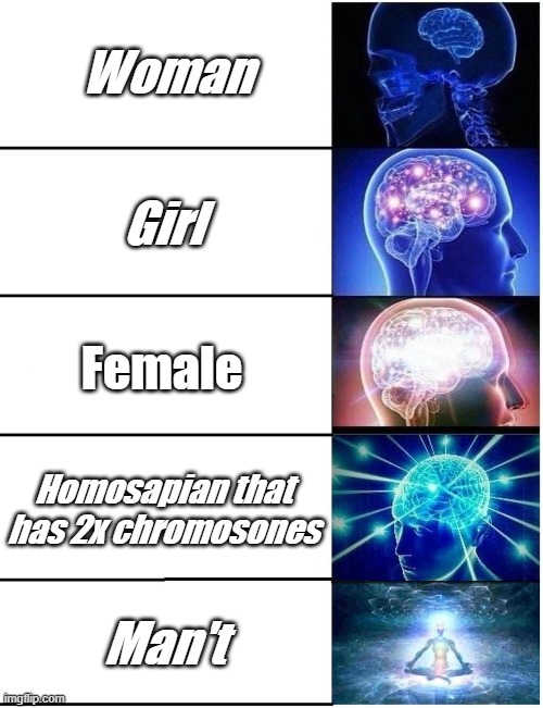 Big brain | Woman; Girl; Female; Homosapian that has 2x chromosones; Man't | image tagged in expanding brain 5 panel | made w/ Imgflip meme maker