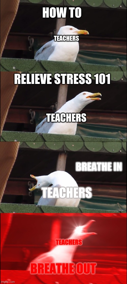 schools Teachers be like | HOW TO; TEACHERS; RELIEVE STRESS 101; TEACHERS; BREATHE IN; TEACHERS; TEACHERS; BREATHE OUT | image tagged in memes,inhaling seagull | made w/ Imgflip meme maker