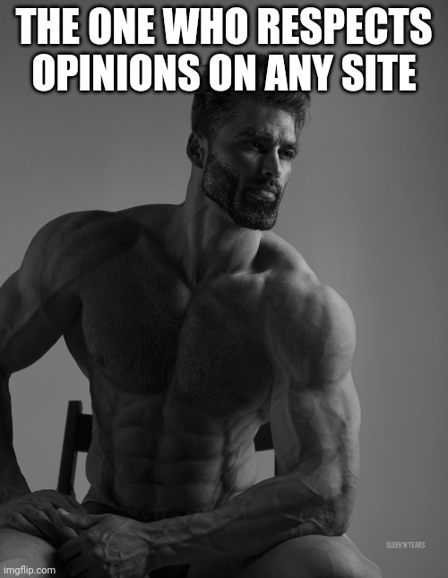 Giga Chad | THE ONE WHO RESPECTS OPINIONS ON ANY SITE | image tagged in giga chad | made w/ Imgflip meme maker