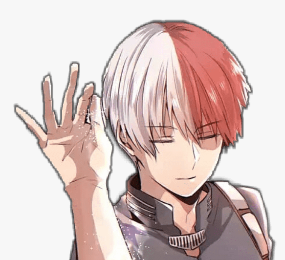 todoroki salt Blank Meme Template