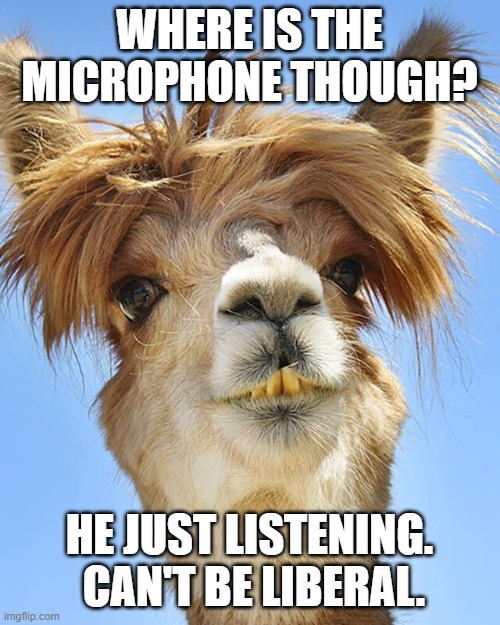 WHERE IS THE MICROPHONE THOUGH? HE JUST LISTENING.  CAN'T BE LIBERAL. | made w/ Imgflip meme maker