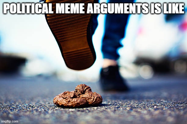 Stepping in dookey | POLITICAL MEME ARGUMENTS IS LIKE | image tagged in political memes | made w/ Imgflip meme maker