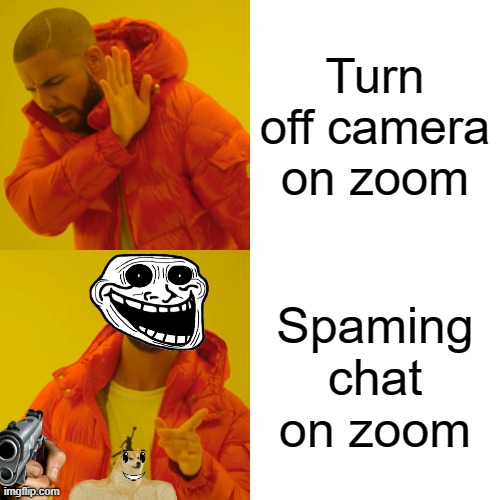 Zoom | Turn off camera on zoom; Spaming chat on zoom | image tagged in memes,drake hotline bling | made w/ Imgflip meme maker
