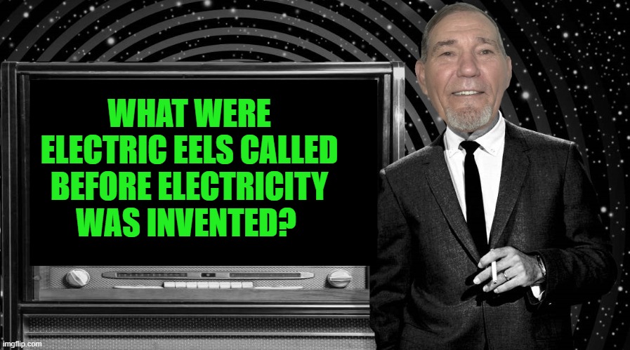 WHAT WERE ELECTRIC EELS CALLED BEFORE ELECTRICITY WAS INVENTED? | image tagged in the kewlew zone | made w/ Imgflip meme maker