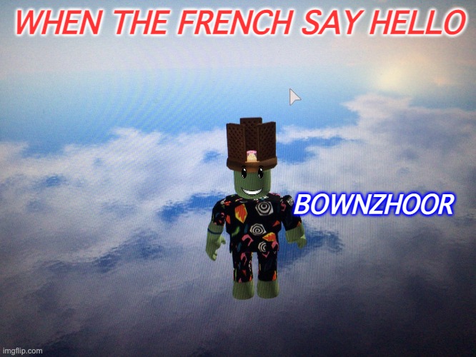 Roblox adios | WHEN THE FRENCH SAY HELLO BOWNZHOOR | image tagged in roblox adios | made w/ Imgflip meme maker