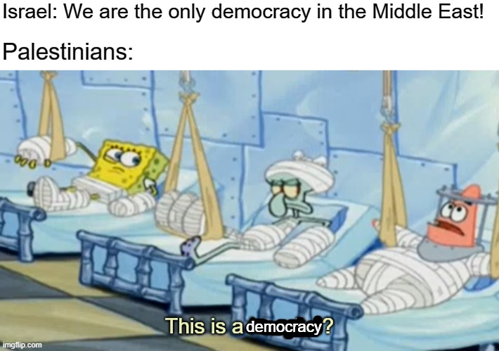 Stop the ethnic cleansing of Palestinians. | democracy | image tagged in patrick star,spongebob,israel,palestine,democracy,genocide | made w/ Imgflip meme maker
