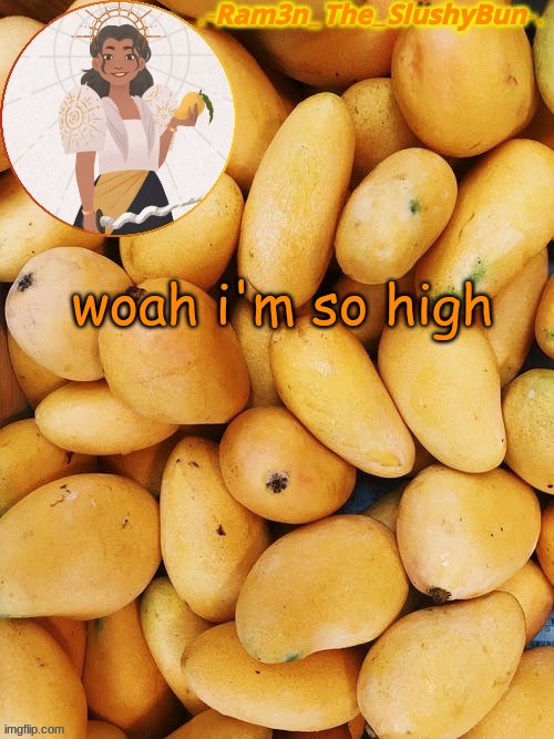 Cinna's Out Of Context Mango Template | woah i'm so high | image tagged in cinna's out of context mango template | made w/ Imgflip meme maker