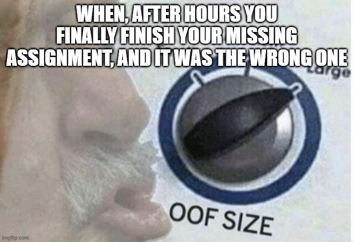 Oof man | WHEN, AFTER HOURS YOU FINALLY FINISH YOUR MISSING ASSIGNMENT, AND IT WAS THE WRONG ONE | image tagged in oof size large,homework | made w/ Imgflip meme maker