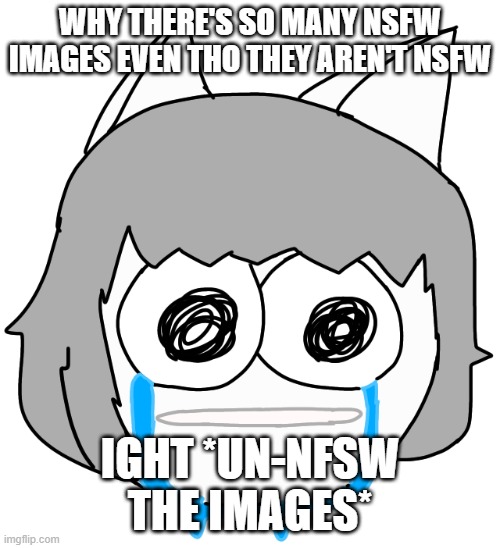 Crying Moneko | WHY THERE'S SO MANY NSFW IMAGES EVEN THO THEY AREN'T NSFW; IGHT *UN-NFSW THE IMAGES* | image tagged in crying moneko | made w/ Imgflip meme maker