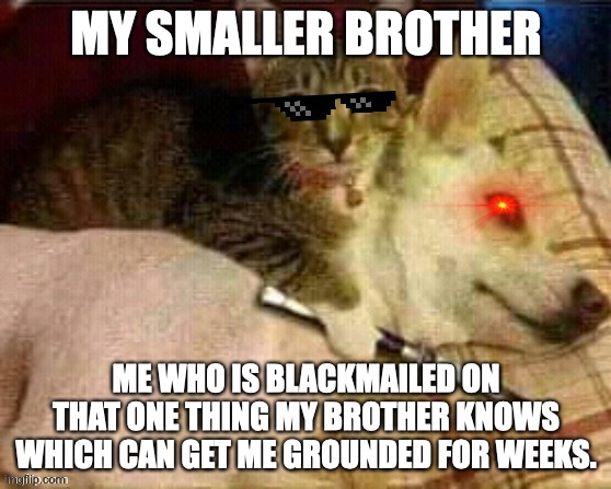 DA REALITY | MY SMALLER BROTHER; ME WHO IS BLACKMAILED ON THAT ONE THING MY BROTHER KNOWS WHICH CAN GET ME GROUNDED FOR WEEKS. | image tagged in bad pun dog | made w/ Imgflip meme maker