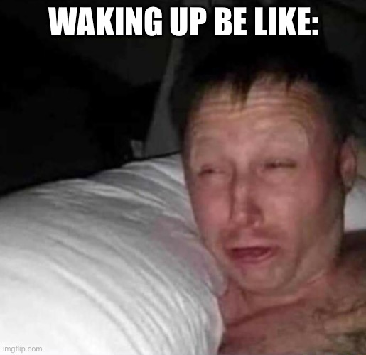 Sleepy guy | WAKING UP BE LIKE: | image tagged in sleepy guy | made w/ Imgflip meme maker