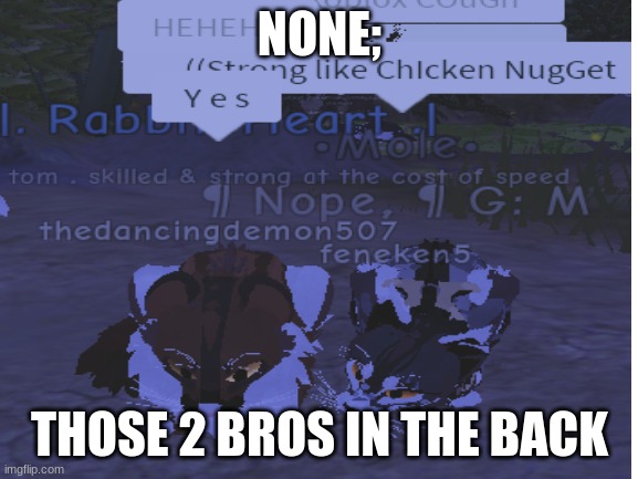 Lol | NONE;; THOSE 2 BROS IN THE BACK | image tagged in bruh | made w/ Imgflip meme maker