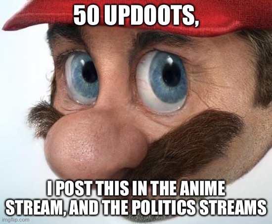 Pls help guys | 50 UPDOOTS, I POST THIS IN THE ANIME STREAM, AND THE POLITICS STREAMS | image tagged in mario,wow,oh wow are you actually reading these tags | made w/ Imgflip meme maker