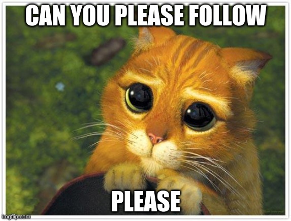 please in the way of getting 1k followers | CAN YOU PLEASE FOLLOW; PLEASE | image tagged in memes,shrek cat | made w/ Imgflip meme maker
