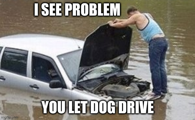 i see prblem | I SEE PROBLEM YOU LET DOG DRIVE | image tagged in i see prblem | made w/ Imgflip meme maker
