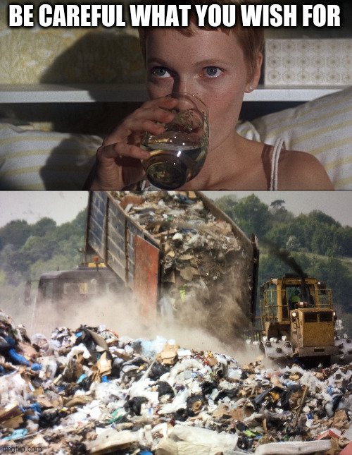 when you wish it was busier at work | BE CAREFUL WHAT YOU WISH FOR | image tagged in rosemary,garbage dump | made w/ Imgflip meme maker