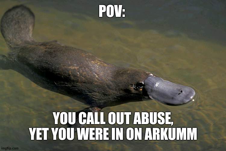 Not trying to point fingers, just saying | POV:; YOU CALL OUT ABUSE, YET YOU WERE IN ON ARKUMM | image tagged in identity crisis,arkumm | made w/ Imgflip meme maker