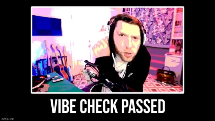 You have passed the vibe check. | image tagged in vibe check | made w/ Imgflip meme maker