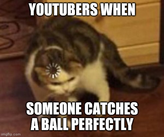 Loading cat | YOUTUBERS WHEN; SOMEONE CATCHES A BALL PERFECTLY | image tagged in loading cat | made w/ Imgflip meme maker