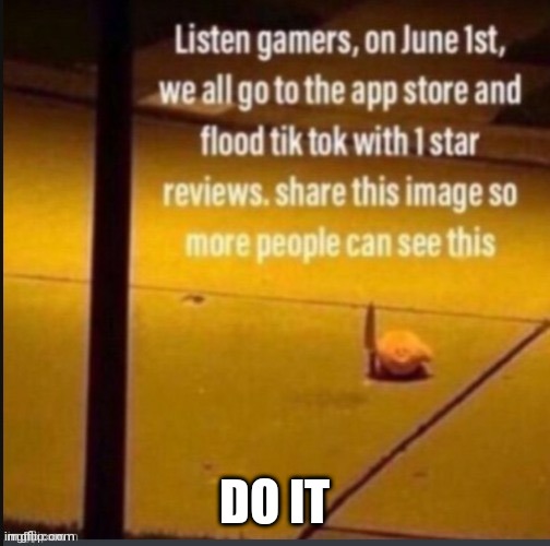  DO IT | image tagged in june 1st tik tok turtle | made w/ Imgflip meme maker